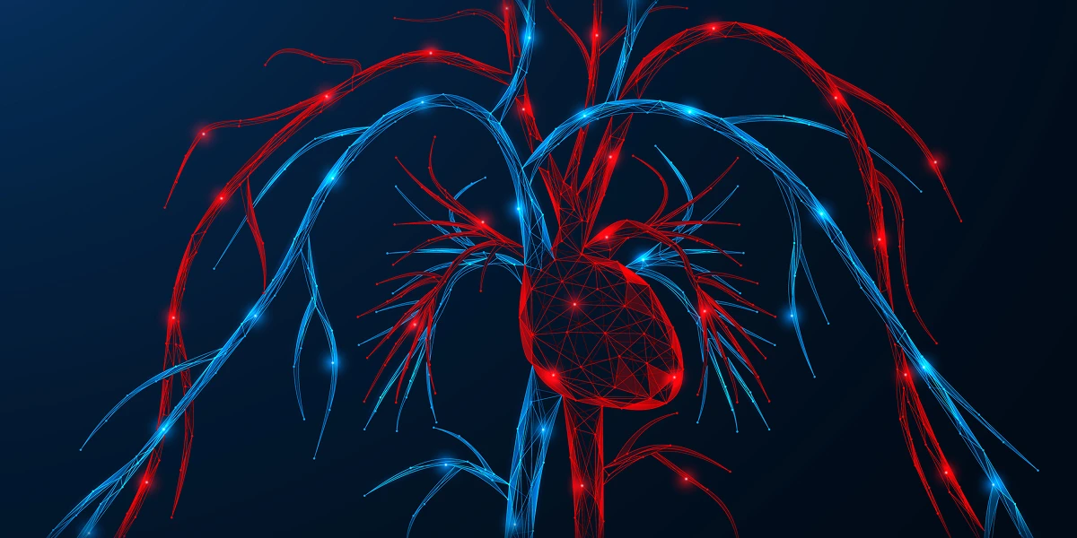 Advanced lipid testing and cardiovascular risk assessment based on updated cholesterol guidelines from the American Heart Association